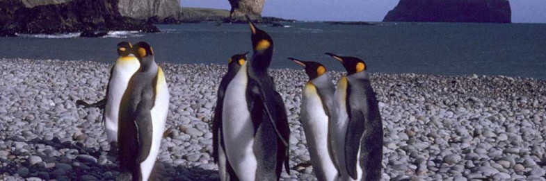 Kerguelen